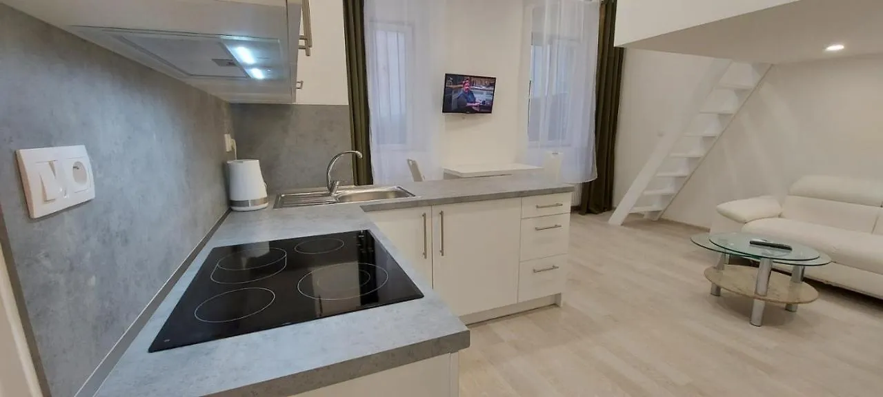Apartment Krale Jiriho Karlsbad 0*,